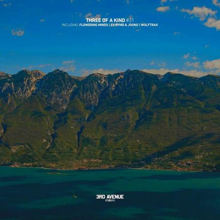 VA | Three of a Kind #031 (2025) MP3
